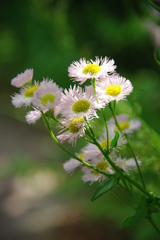 大高緑地公園にて　