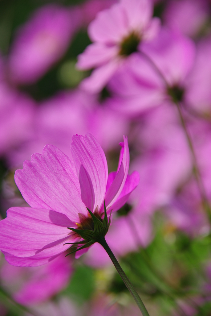みどりが丘公園にて　