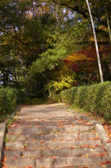 名古屋市農業センターにて