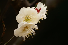 大高緑地公園にて　