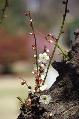 大高緑地公園にて　