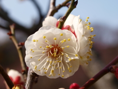 大高緑地公園にて