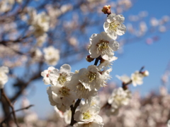 大高緑地公園にて　