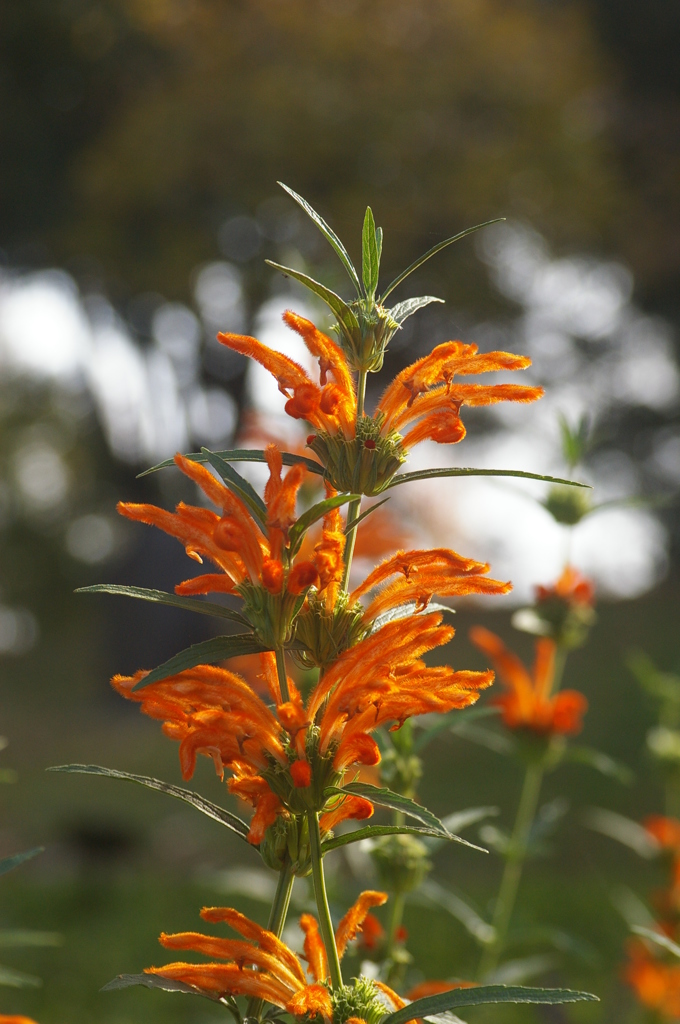 名古屋市農業センターにて