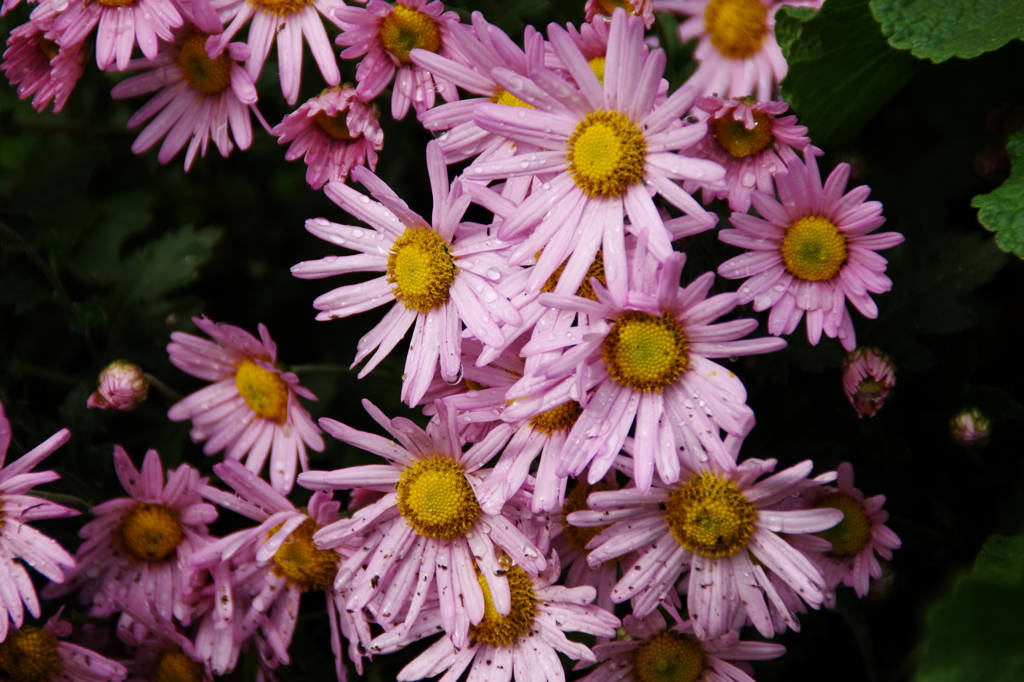 大高緑地公園にて