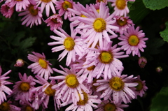 大高緑地公園にて