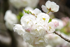 大高緑地公園にて　