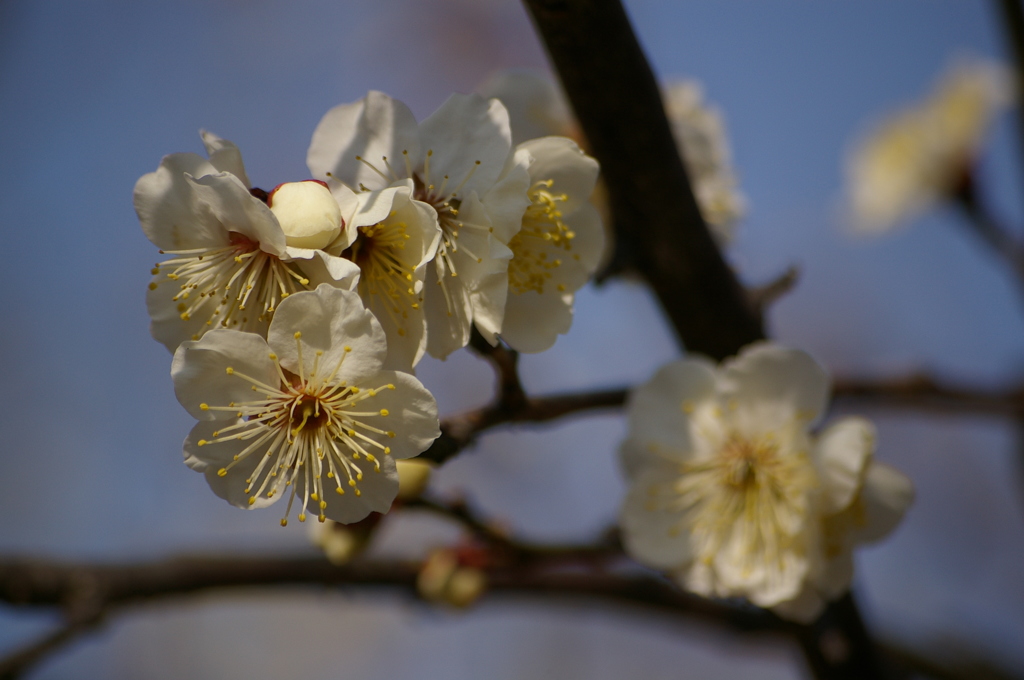 大高緑地公園にて