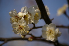 大高緑地公園にて