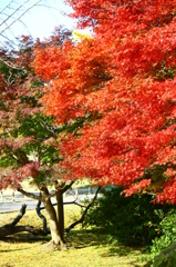 大高緑地公園にて