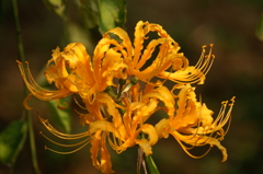 名古屋市農業センターにて　