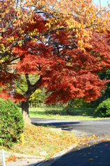 大高緑地公園にて