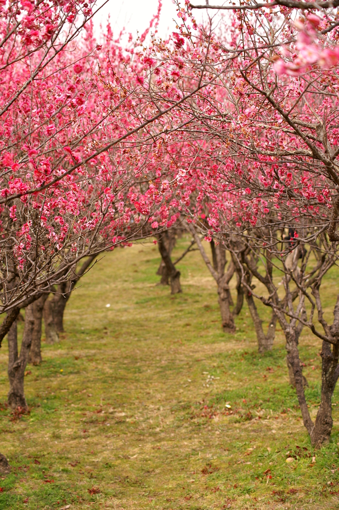大高緑地公園にて　