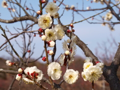 大高緑地公園にて