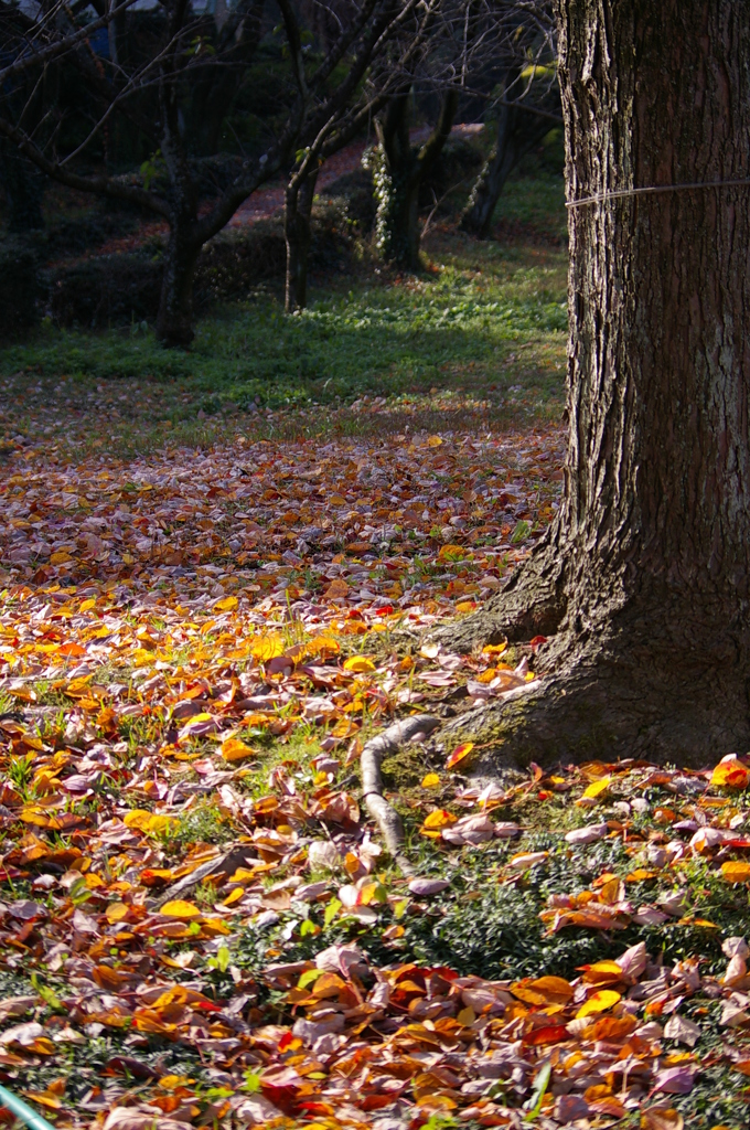 ぬくもりを感じて^^