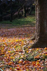 ぬくもりを感じて^^