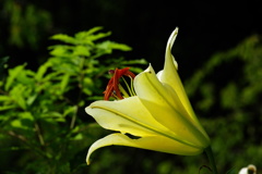 名古屋市農業センターにて　