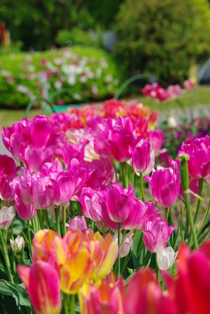 名古屋市農業センターにて　