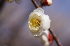 大高緑地公園にて