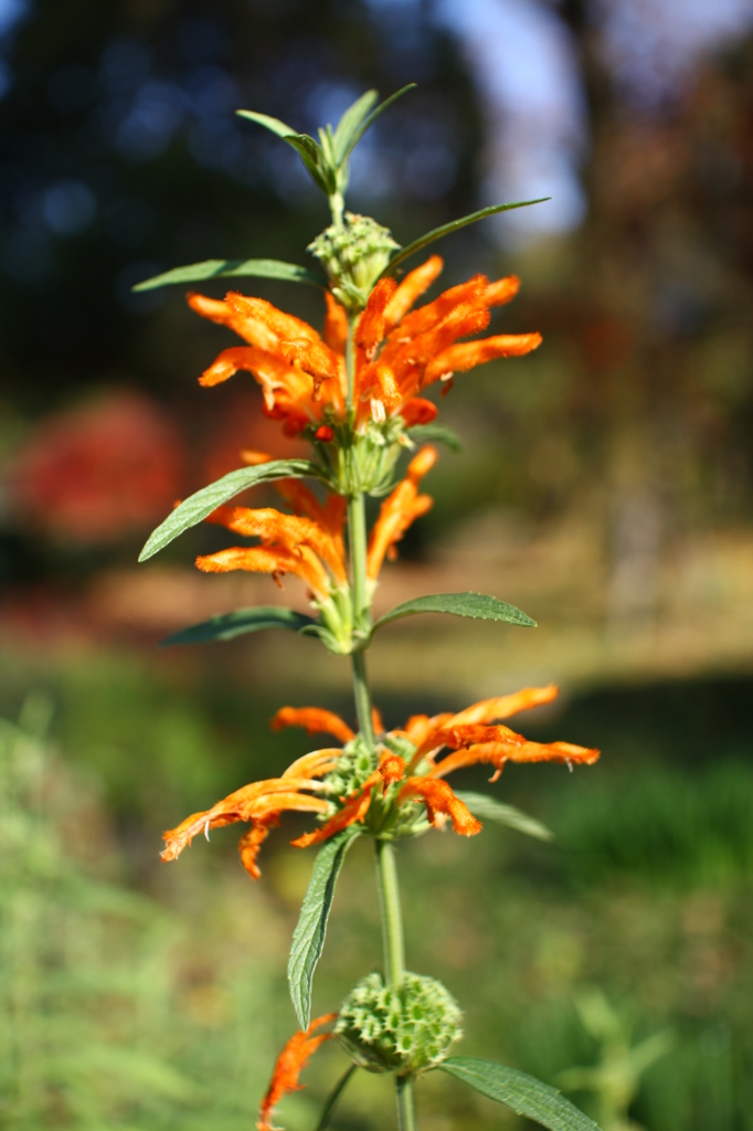 日当たり良好なり^^
