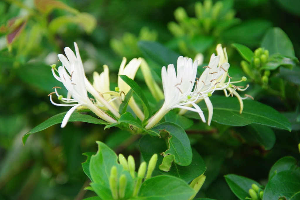 大高緑地公園にて　