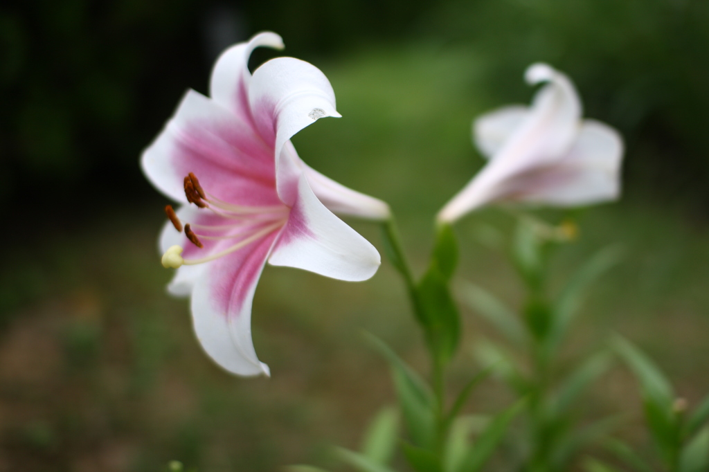 名古屋市農業センターにて　