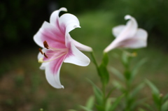 名古屋市農業センターにて　