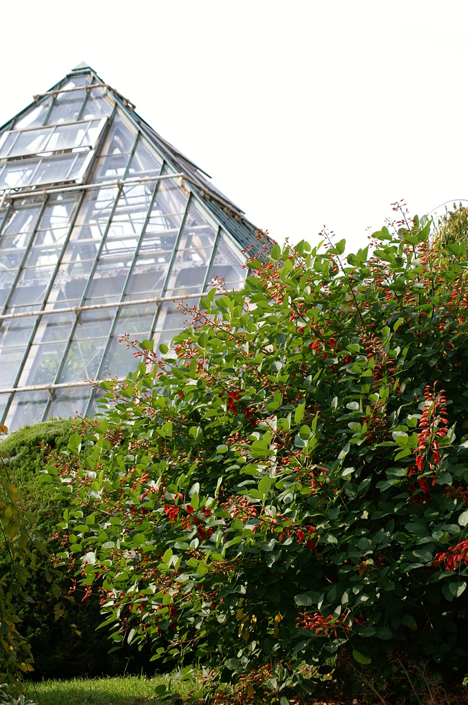 名古屋市農業センターにて　