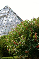 名古屋市農業センターにて　