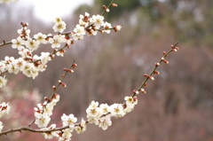 大高緑地公園にて