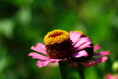 名古屋市農業センターにて