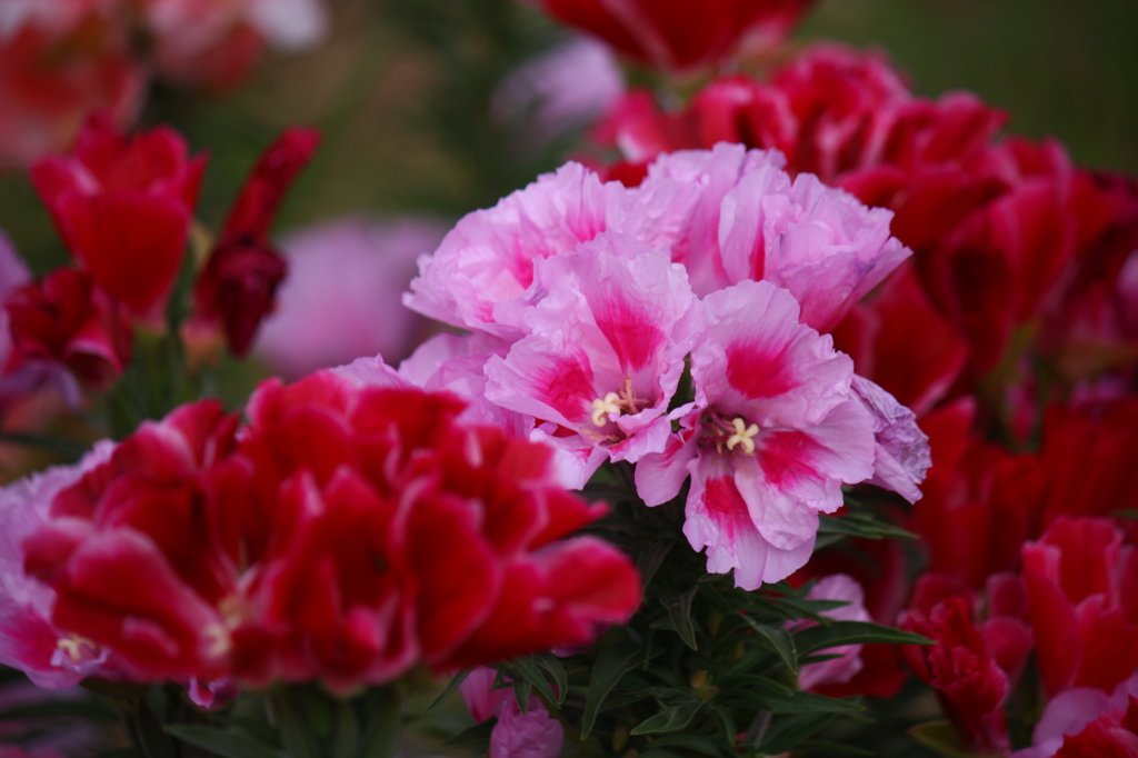 大高緑地公園にて　
