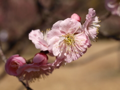 大高緑地公園にて