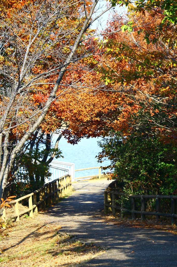 大高緑地公園にて