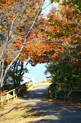 大高緑地公園にて