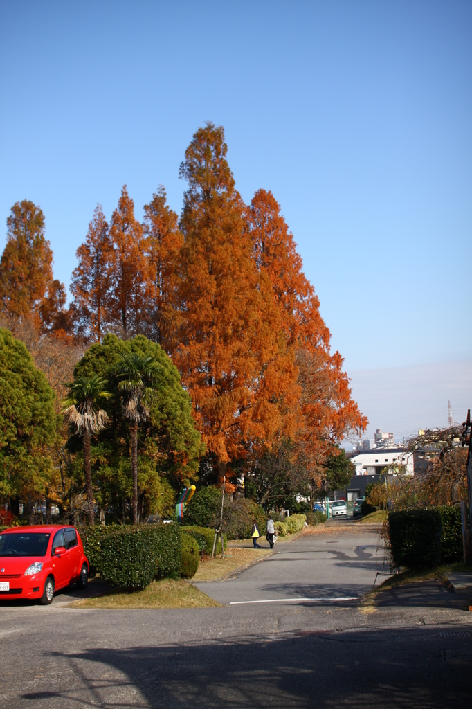 名古屋市農業センターにて