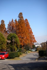 名古屋市農業センターにて