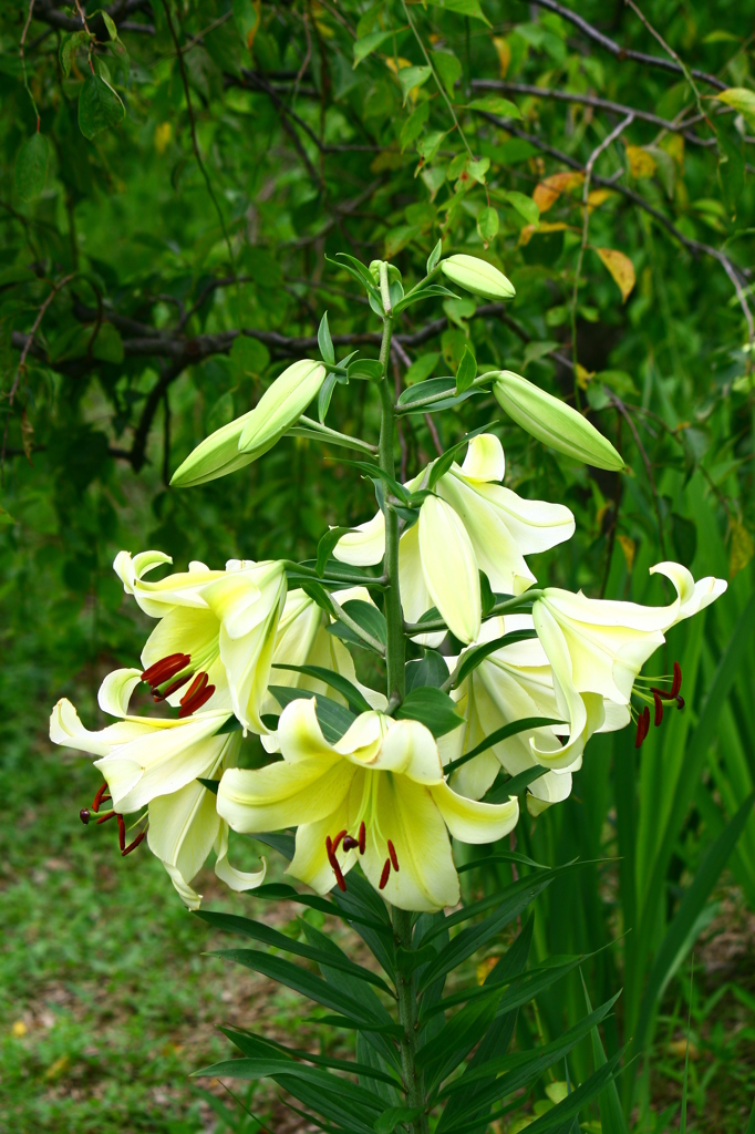 名古屋市農業センターにて　