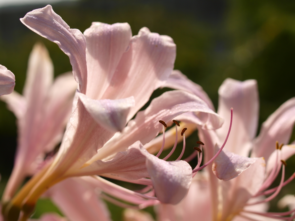 名古屋市農業センターにて　