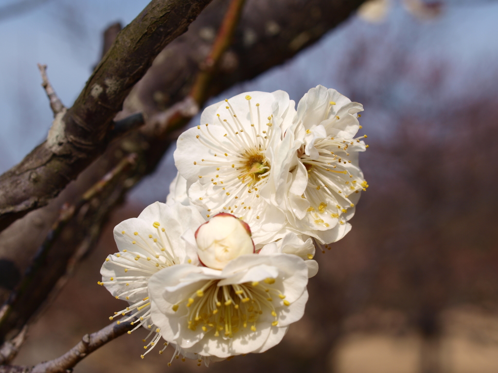 大高緑地公園にて
