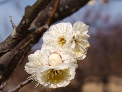 大高緑地公園にて