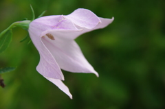 名古屋市農業センターにて　