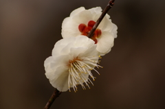 大高緑地公園にて　