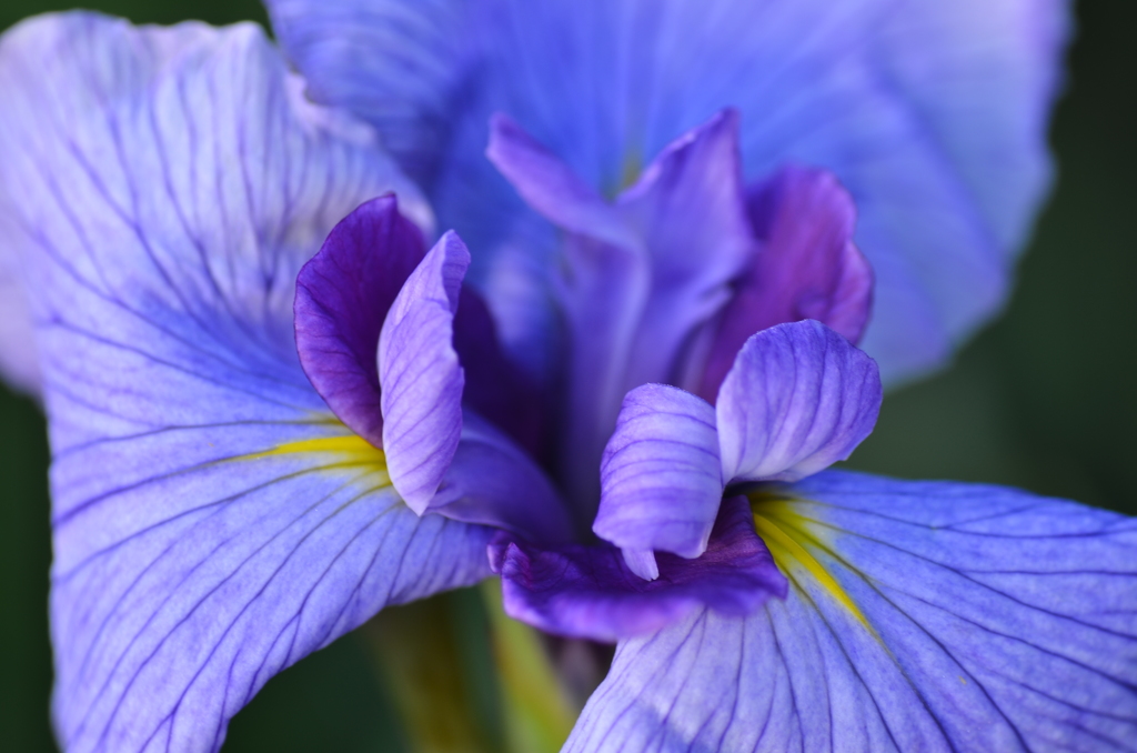 上から覗いてみませんか？