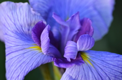 上から覗いてみませんか？