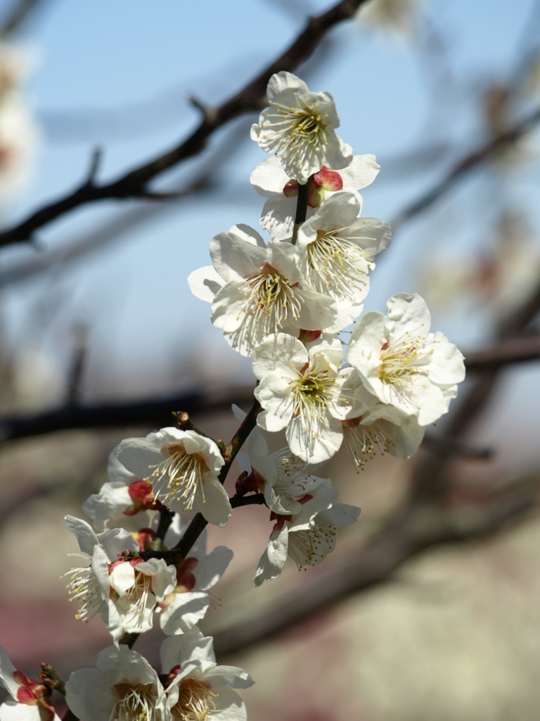 大高緑地公園にて　