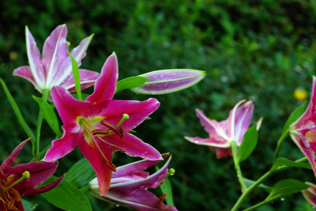 名古屋市農業センターにて　