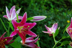 名古屋市農業センターにて　