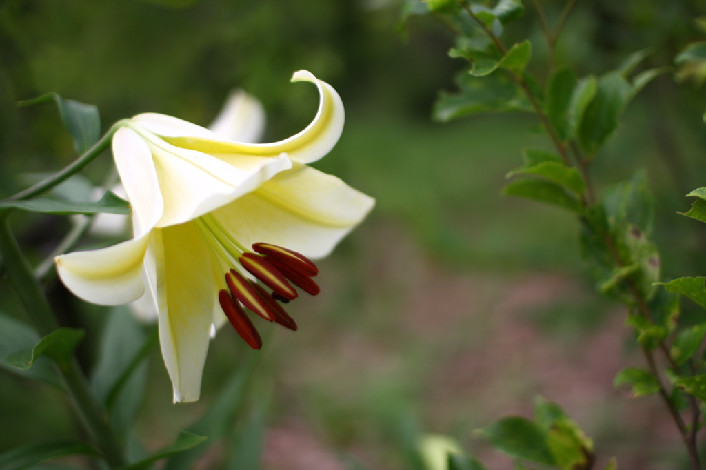 名古屋市農業センターにて　