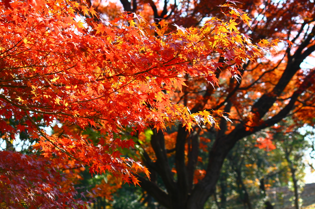 大高緑地公園にて
